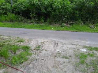 Land for Sale in Las Uvas - 0 bedrooms