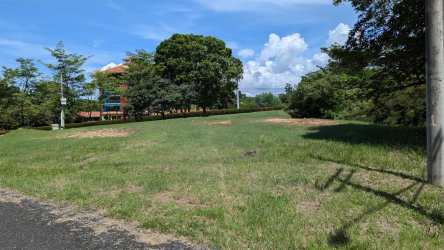 Open grassy lot with partial trees and distant house view in Punta Barco Resort luxury community Panama