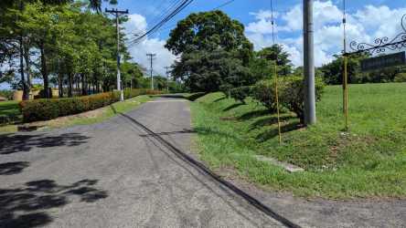 Paved access road lined with greenery and trees leading into Punta Barco Resort community Panama
