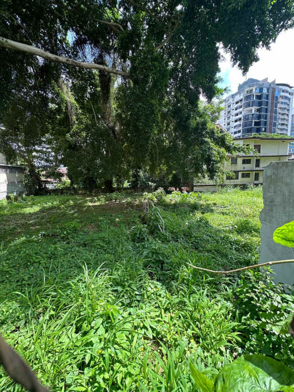 Prime 1495m2 Corner Development Lot El Cangrejo Panama