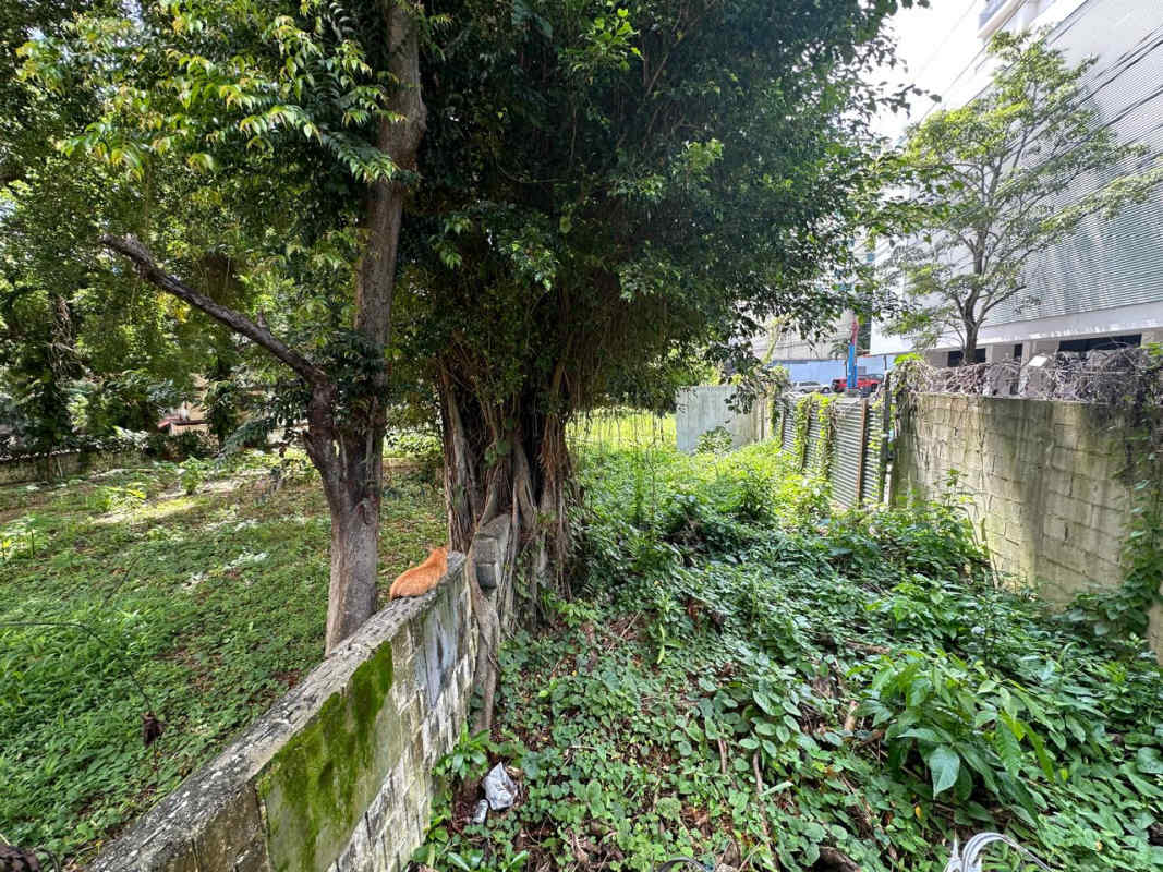 Investment corner land site 1495m2 with trees in Panama City for developer