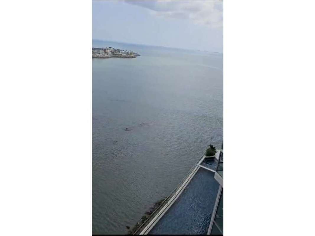 Impressive oceanfront infinity pool panoramic views at Seapoint Punta Paitilla Panama