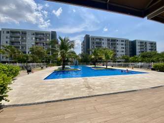 Outdoor pools with lounge chairs and palm trees, PH Woodland Panama Pacifico