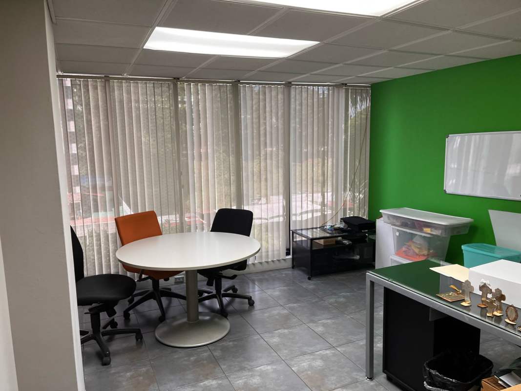 Bright office meeting area with green wall blinds PH IBC Tower Panama