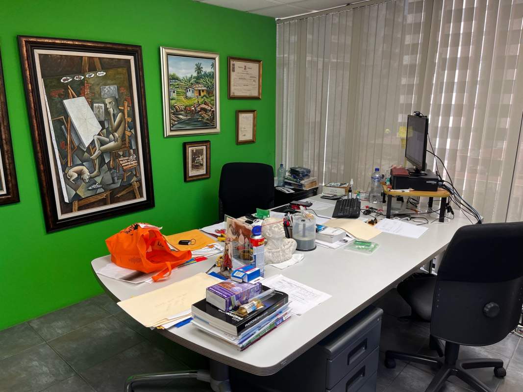 Private office area with green wall and desk PH IBC Tower Bella Vista Panama
