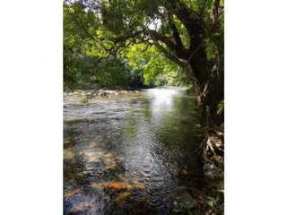 Farm / Land for Sale in Toabré - 0 bedrooms