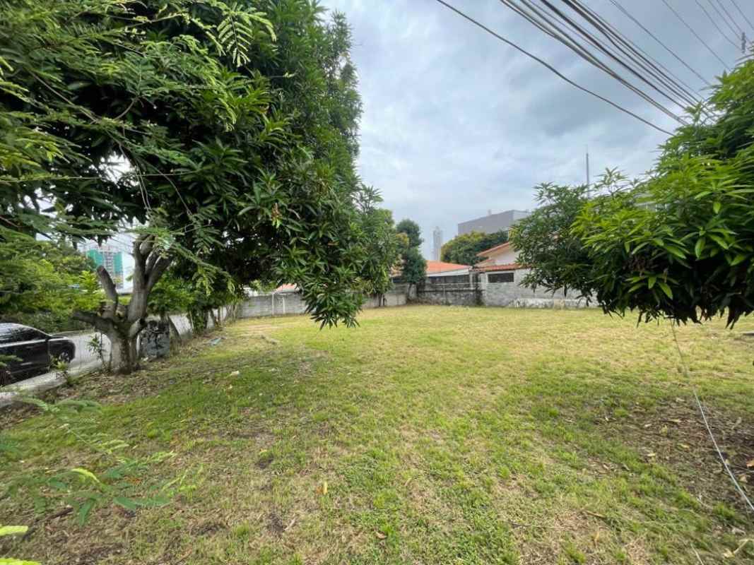Large vacant lot with mature trees and walls suitable for luxury home in Coco del Mar Panama
