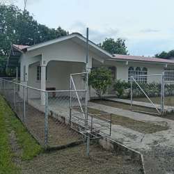 Backyard with green grass, fruit trees, and fenced patio area in Miramar Santiago for rent