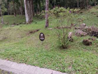 Property marker 1643 amid grassy wooded plot in Altos del María community