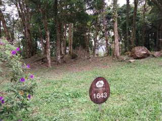 Land Lot for Sale in Altos del María Sector - 0 bedrooms