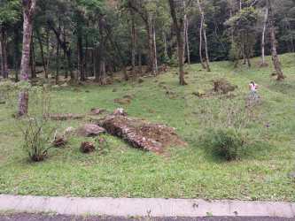 Spacious flat grassy area bordered by mature forest inside gated Altos del María