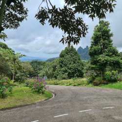 Vacant wooded land with grass, trees and gentle slope ideal for mountain house in Panama