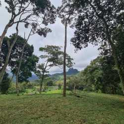 Cleared flat land with mature trees and panoramic mountain views in Panama