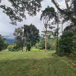 Curved paved road through tropical greenery with mountains view at Altos del María
