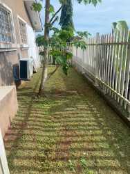 Small side garden with white fence in The Hilltop Vista Alegre Panama