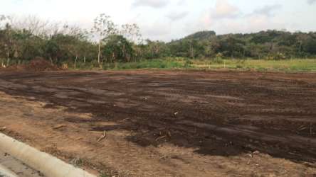 Cleared flat plot bordered by greenery near palm lined Caribbean beach area in Colón Panama
