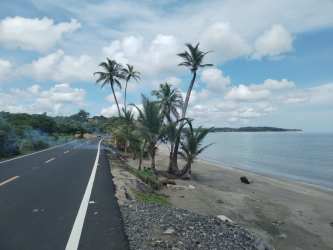 Seaside road lined with palms along Caribbean coast with beach access in Santa Isabel Colón