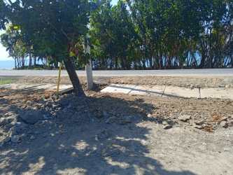 Unpaved area near road bordered by trees utility poles and coastal horizon in Colón