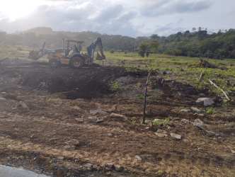 Open grassy land plot close to palm trees and Caribbean Sea ideal for beach house development in Colón Panama