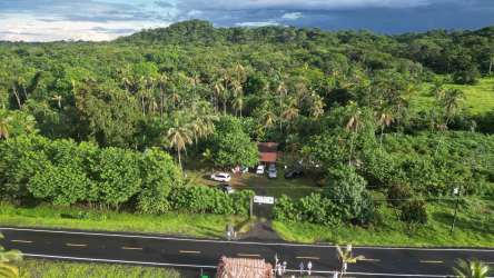 Aerial shot of lush green property with palm trees road access and Caribbean coastline in Mansueto Colón