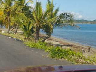 Land for Sale in Miguel de la Borda - 0 bedrooms