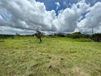 Scenic green hills and open landscape with dense vegetation and river in La Laguna San Carlos Panama