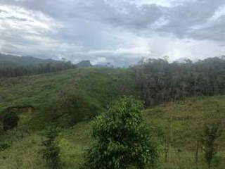 Agricultural Land for Sale in Clarás Arriba, Cirí Grande - 0 bedrooms