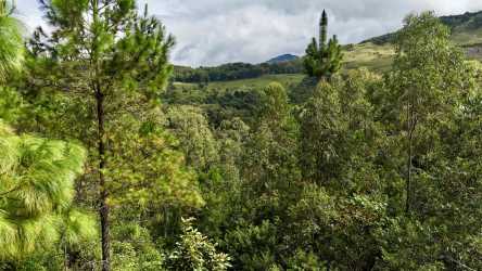 Panorama of forest and mountain hills with clear sky in Boquete Panama land lot