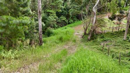 Scenic panoramic landscape in Jaramillo mountain area perfect for building eco home