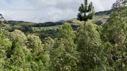 Aerial view mountain ridge covered in dense green forest land Jaramillo Panama