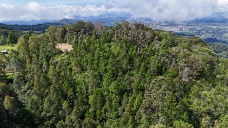 Lush forested mountain valley with rolling hills and mountain backdrop Boquete Panama