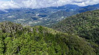 Land for Sale in Jaramillo Arriba - 0 bedrooms