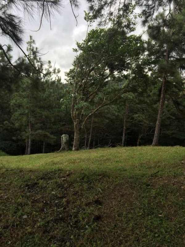 Large Commercial or Residential Land for Sale 24 de Diciembre Panama