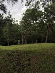 Land for Sale in Tocumen - 0 bedrooms