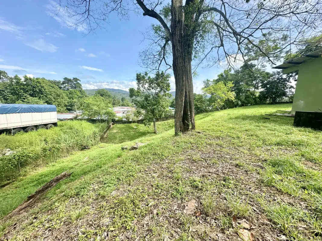 Secure lot with fence and mature trees perfect for commercial building or housing project