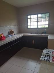 Simple kitchen interior with large window overlooking green backyard David Panama