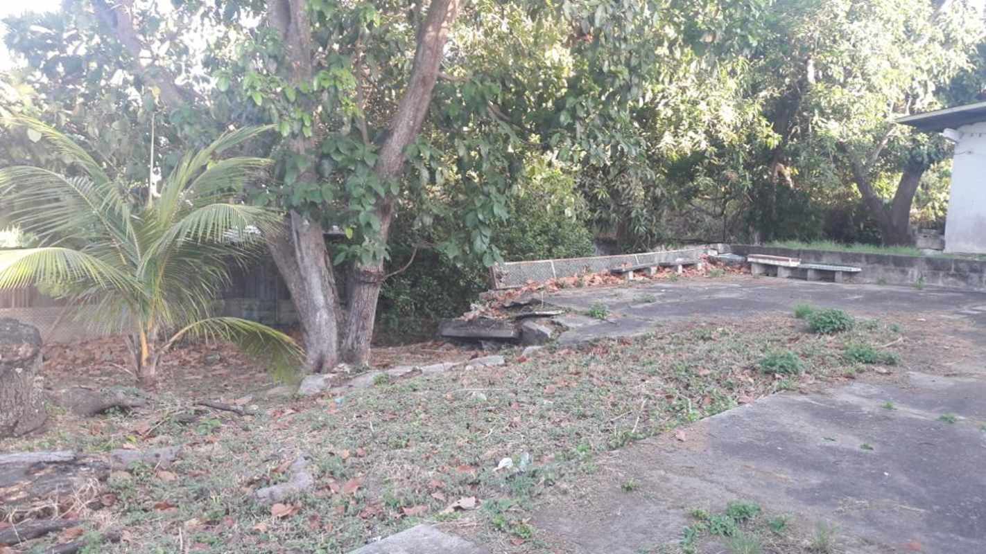 Large concrete patio and green yard with mature trees suitable for business or residential use in Rio Abajo Panama City