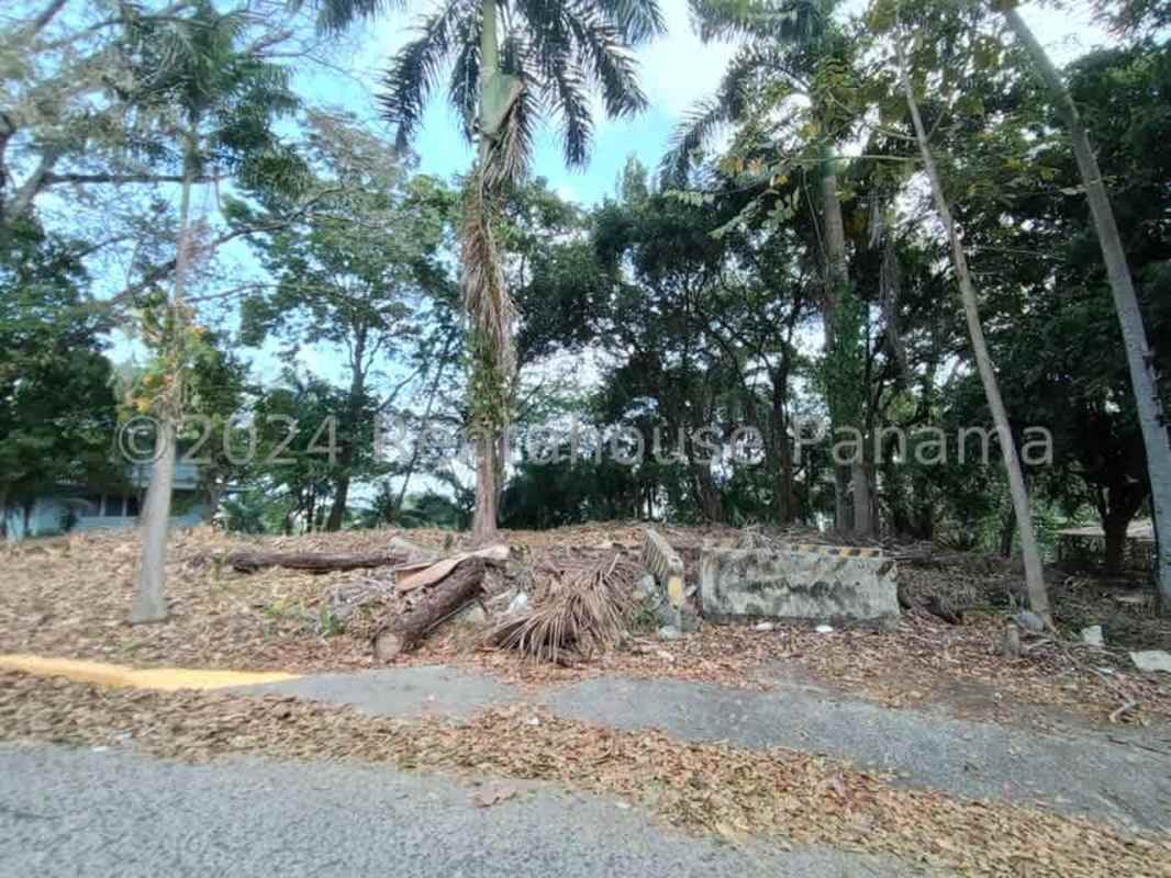 Dense trees covering lot for sale Ancon Panama ideal for residence or business
