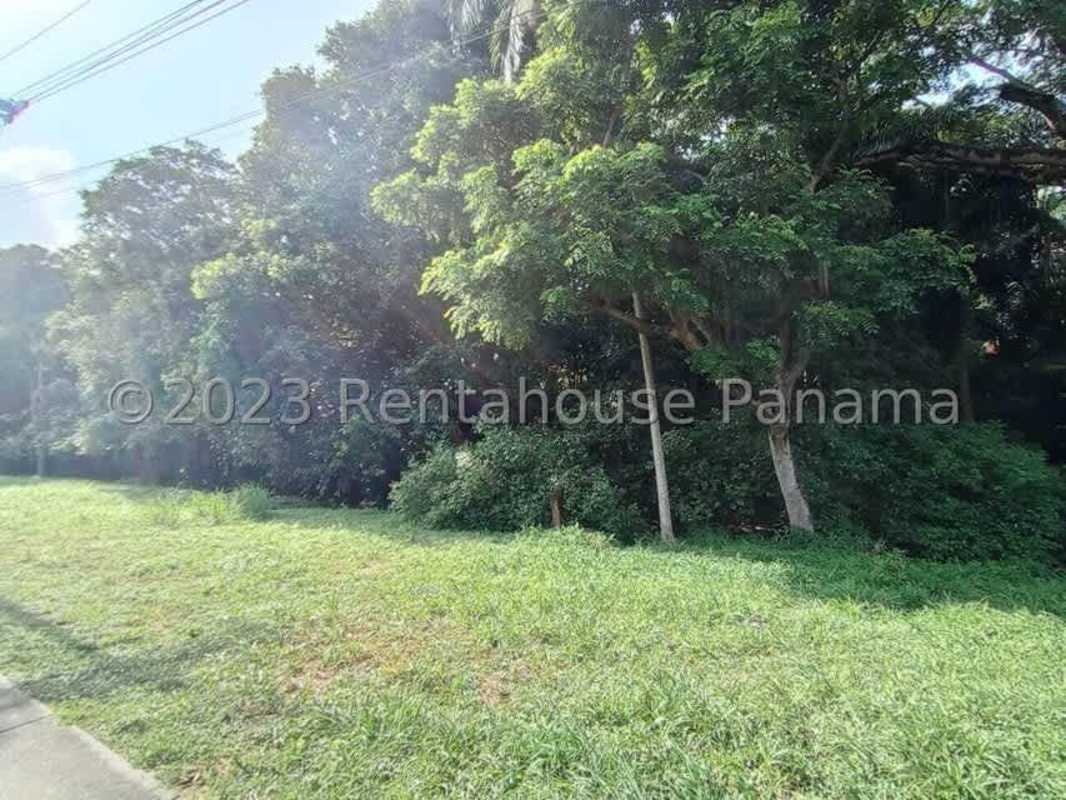 Lush green vacant plot with natural trees in Ancon near Panama City center