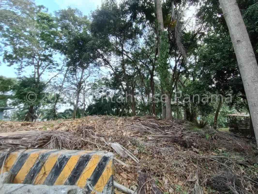 Wooded vacant lot in Ancon Panama ideal for development near city center