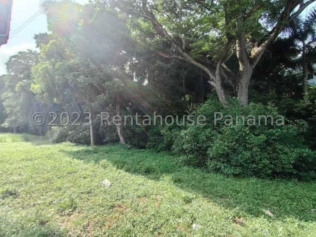 Vacant green lot with dense vegetation perfect for building in Ancon Panama City