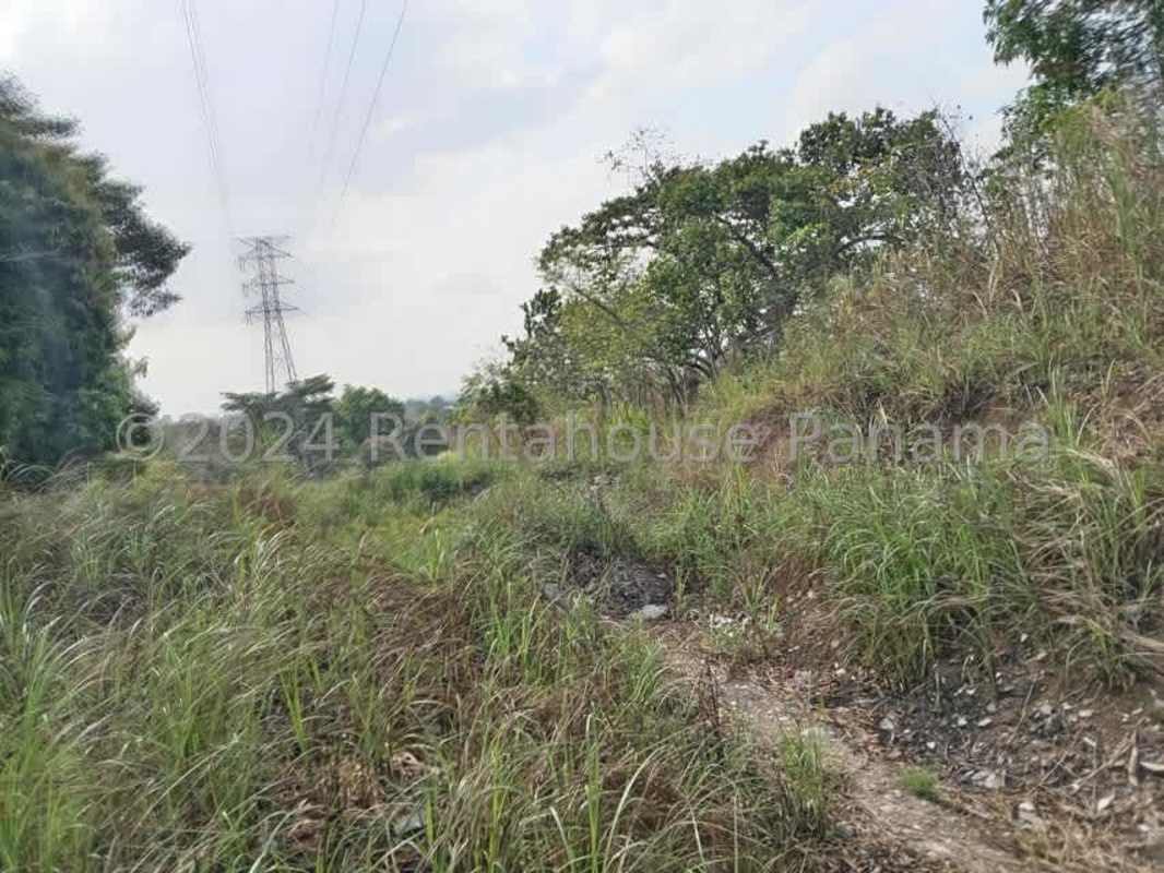 Vacant lot with scattered trees and natural slope perfect for mixed-use construction Pedregal Panama