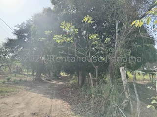 Land Lot for Sale in Pedregal - 0 bedrooms