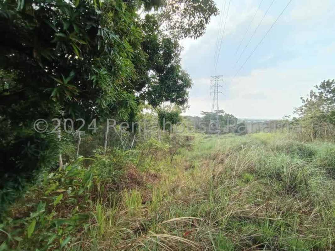 Vacant natural land under electric power lines Pedregal Tocumen Panama for development