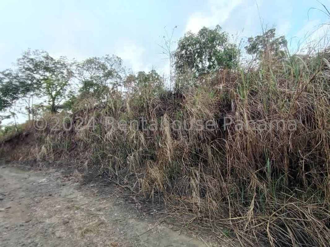 Green vacant land adjacent to transmission tower Pedregal Panama for sale