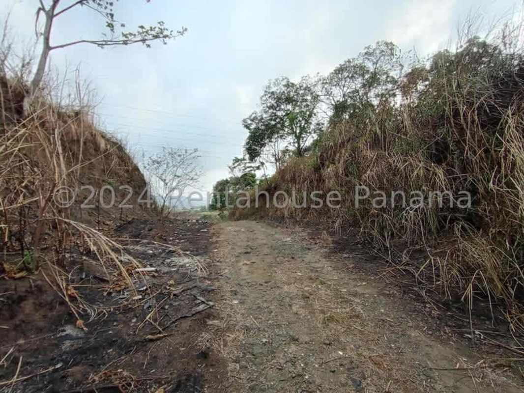 Dirt unpaved road along dry terrain with vegetation Pedregal Panama