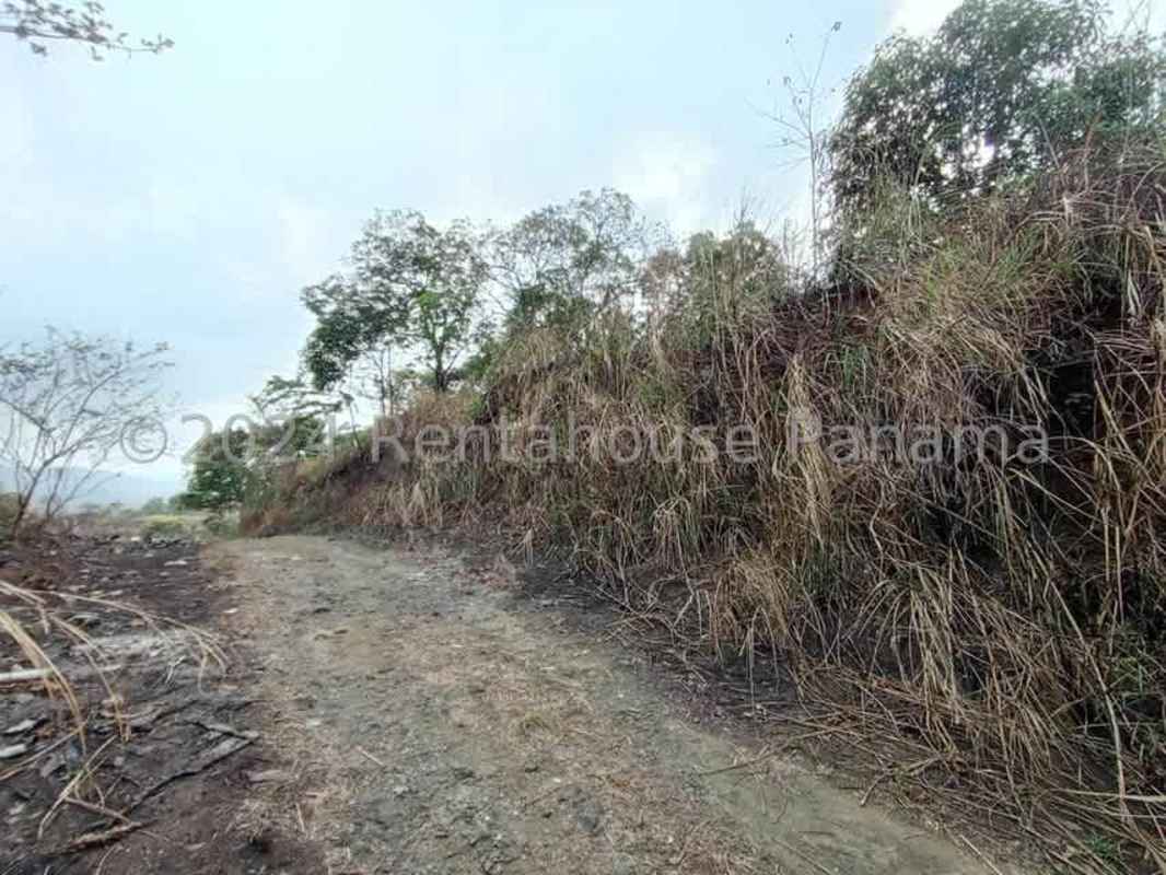 Dirt pathway cutting rural land with sparse trees Pedregal Panama