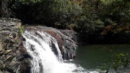 Small natural waterfall with forest vegetation at Hacienda Pacífica project near beaches in Panama