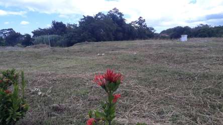 Wide open land plot with distant trees and blue sky in Hacienda Pacífica San Carlos Panama