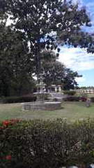 Land for Sale in Las Uvas - 0 bedrooms